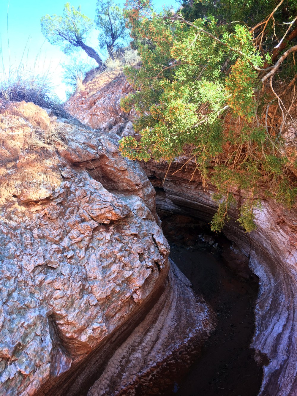 caprock canyon_12